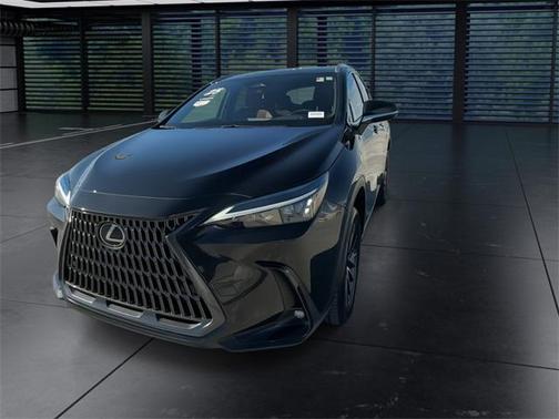 2025 Lexus NX 250 Premium
