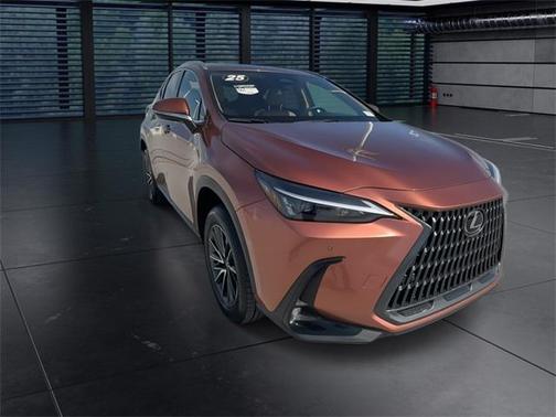 2025 Lexus NX 250 Premium