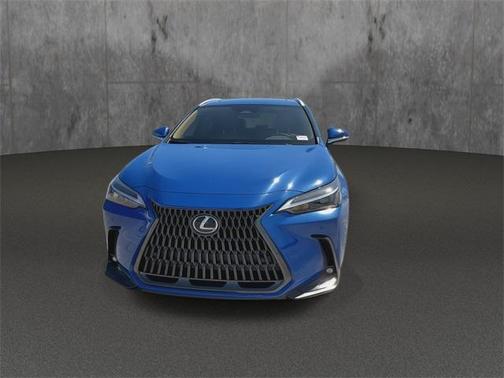 2025 Lexus NX 250 Premium