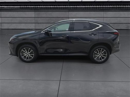2023 Lexus NX 250 Premium