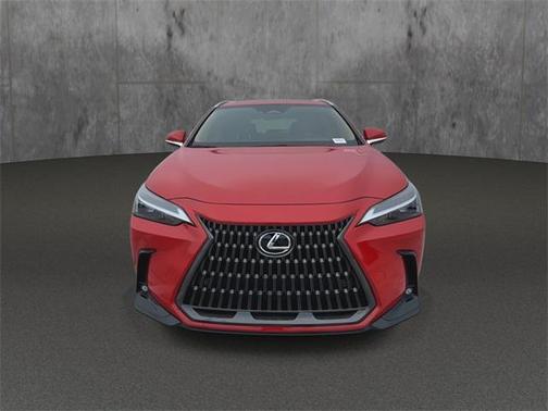 2025 Lexus NX 250 Premium