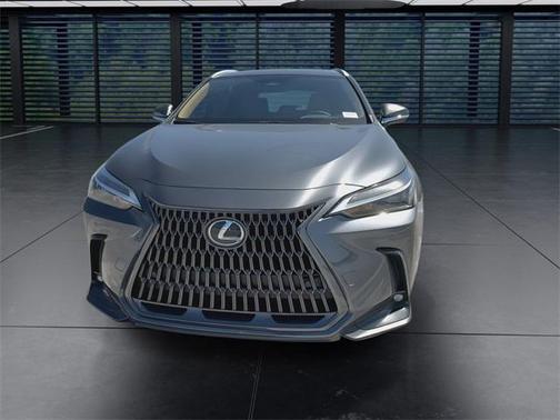 2025 Lexus NX 250 Premium