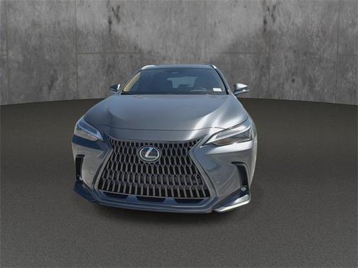 2025 Lexus NX 250 Premium