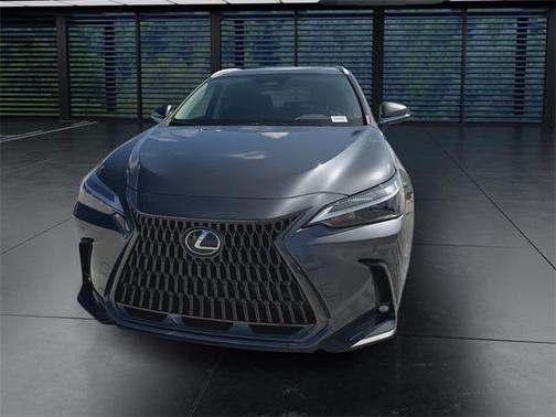 2025 Lexus NX 250 Premium