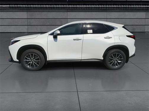 2025 Lexus NX 250 Premium