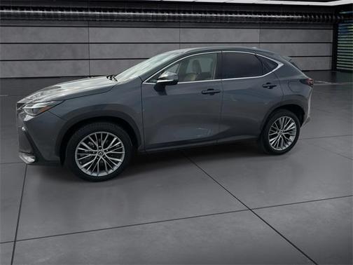 2023 Lexus NX 350h Luxury