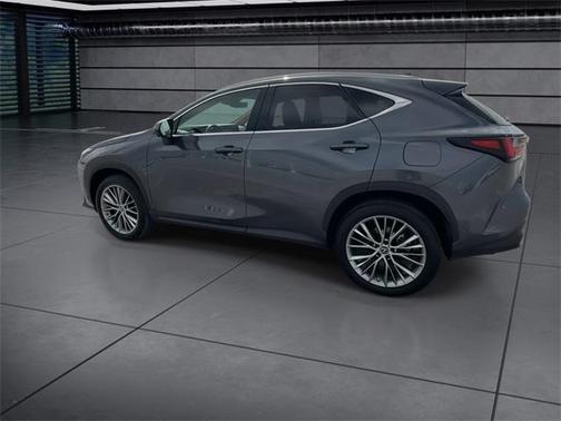 2023 Lexus NX 350h Luxury