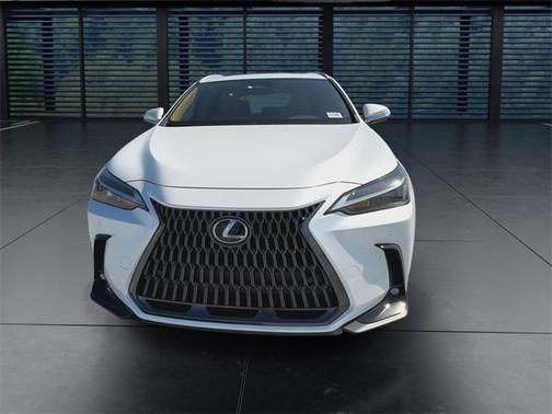 2025 Lexus NX 250 Premium