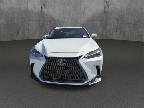 2025 Lexus NX 250 Premium
