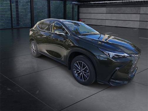 2025 Lexus NX 250 Premium