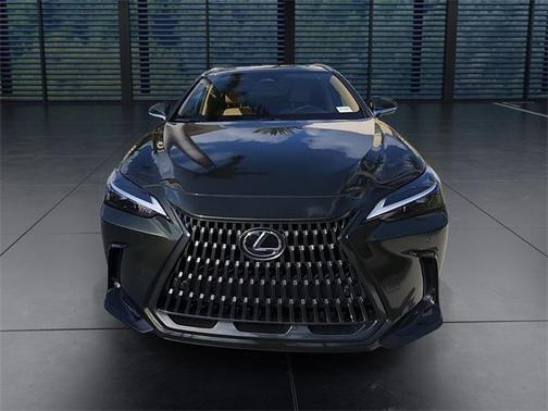 2025 Lexus NX 250 Premium