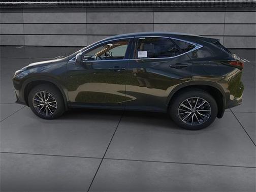 2025 Lexus NX 250 Premium