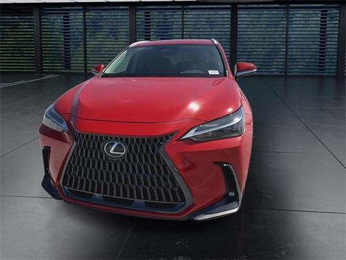 2025 Lexus NX 250 Base