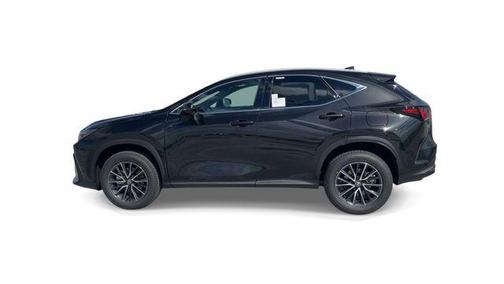 Caviar 2024 Lexus NX 250 Premium