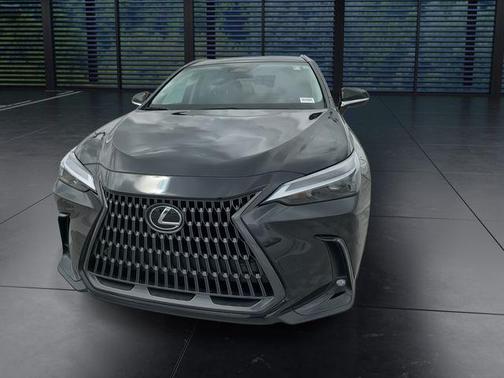 2025 Lexus NX 250 Base