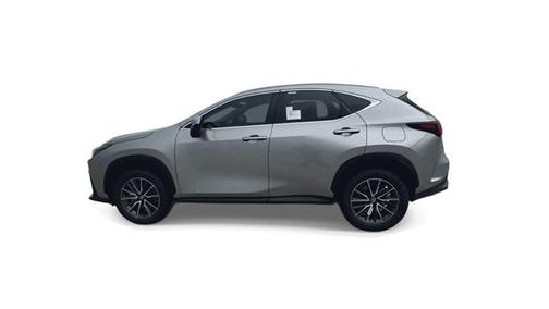 2025 Lexus NX 250 Premium