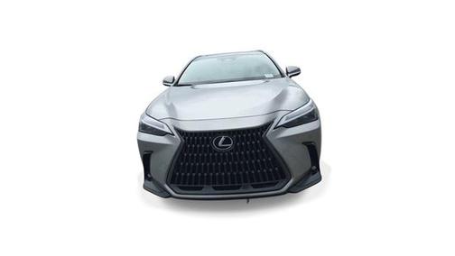 2025 Lexus NX 250 Premium