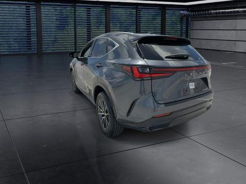 2025 Lexus NX 250 Premium