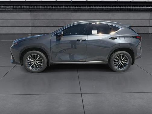 Cloudburst Gray 2025 Lexus NX 250 Premium