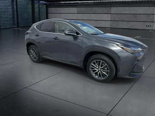 2025 Lexus NX 250 Premium