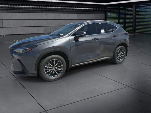 Cloudburst Gray 2025 Lexus NX 250 Premium