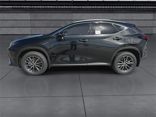 2025 Lexus NX 250 Premium