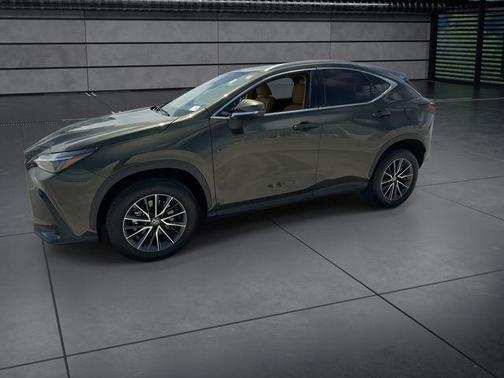 Nori Green Pearl 2025 Lexus NX 250 Premium
