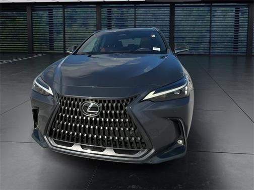 2024 Lexus NX 350h Premium