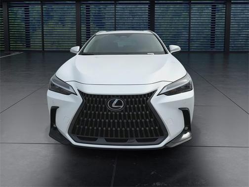2025 Lexus NX 250 Premium