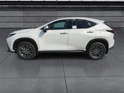 2025 Lexus NX 250 Base