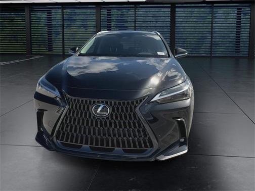 2025 Lexus NX 250 Premium