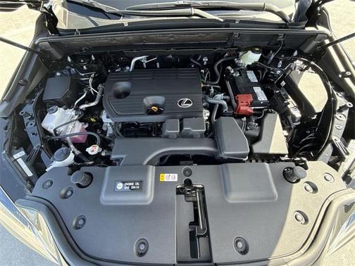 2025 Lexus NX 250 Premium