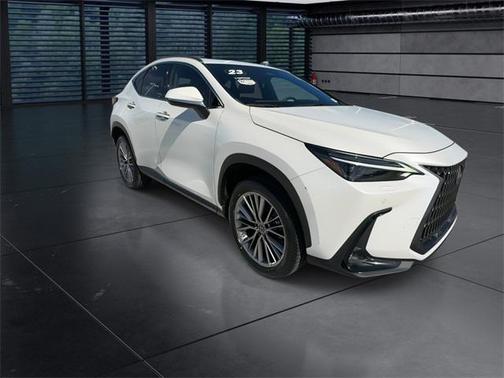 2023 Lexus NX 350h Luxury