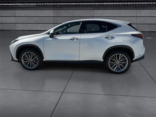 2023 Lexus NX 350h Luxury