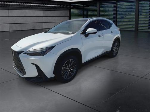 2025 Lexus NX 350 Luxury