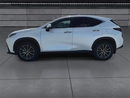 2025 Lexus NX 350 Luxury