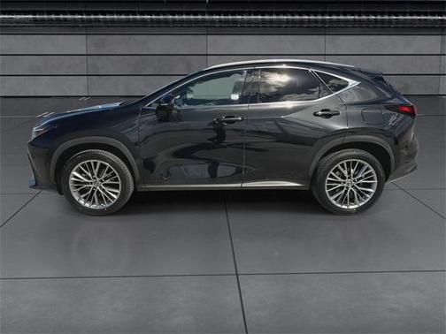 2022 Lexus NX 350h Luxury