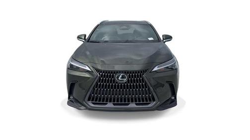 2024 Lexus NX 250 Base