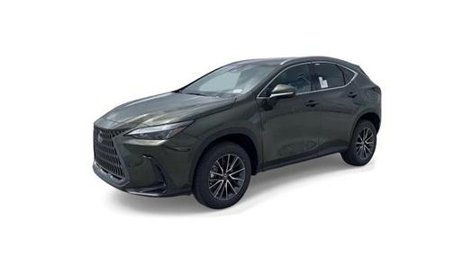 2024 Lexus NX 250 Base