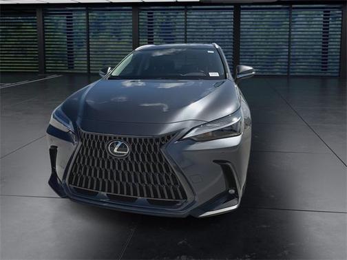 2025 Lexus NX 250 Premium