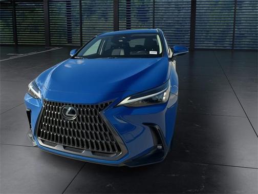2025 Lexus NX 250 Premium