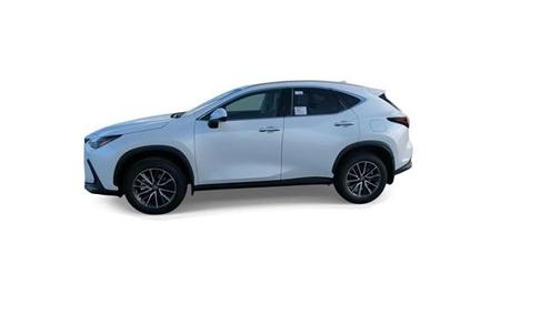 2025 Lexus NX 250 Base