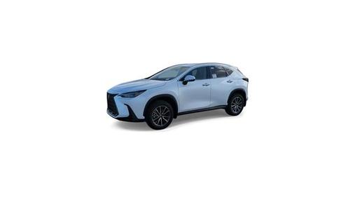 2025 Lexus NX 250 Base
