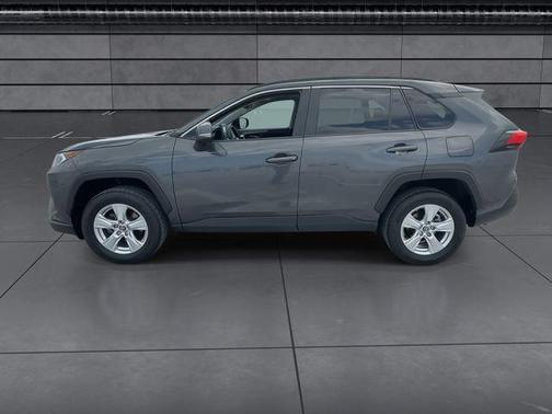 Magnetic Gray Metallic 2019 Toyota RAV4 XLE