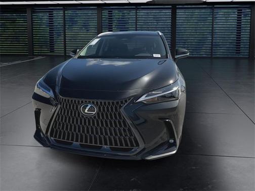 2025 Lexus NX 250 Base