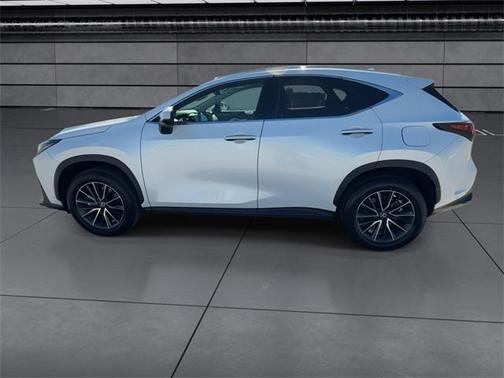 2024 Lexus NX 250 Premium