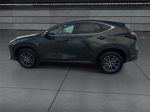 2024 Lexus NX 250 Premium