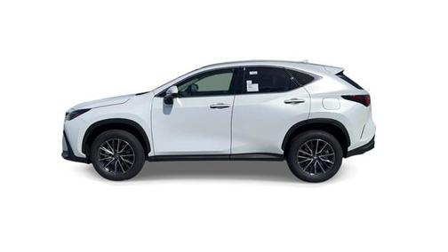 2024 Lexus NX 250 Premium