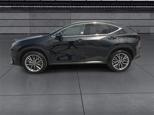 2023 Lexus NX 350h Premium