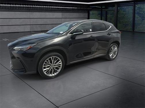 2023 Lexus NX 350h Premium